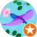 erol palanci (Maestro C. profile picture